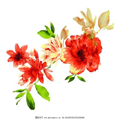 位图 植物 写意花卉 花朵 野花 免费素材