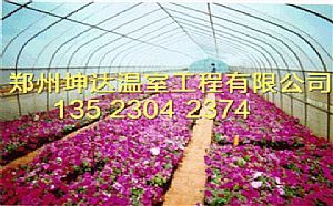 开封双梁温室大棚建造公司郑州坤达花卉温室大棚建造厂家图片|开封双梁温室大棚建造公司郑州坤达花卉温室大棚建造厂家产品图片由郑州市坤达温室工程公司生产提供-