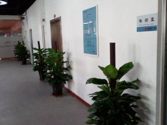 图 天津市内六区绿植租赁花卉租赁办公室绿植租摆公司 天津鲜花绿植