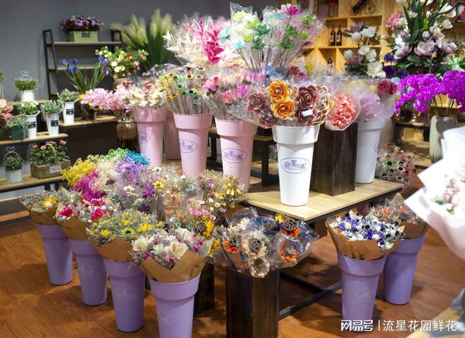 云南国色忝香花卉 流星花园鲜花市场站稳脚跟