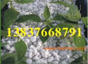 供应园艺专用珍珠岩,供应园艺专用珍珠岩生产厂家,供应园艺专用珍珠岩价格