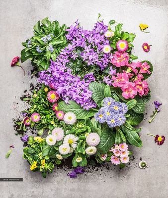 植物花卉园艺背景平面设计素材高清图