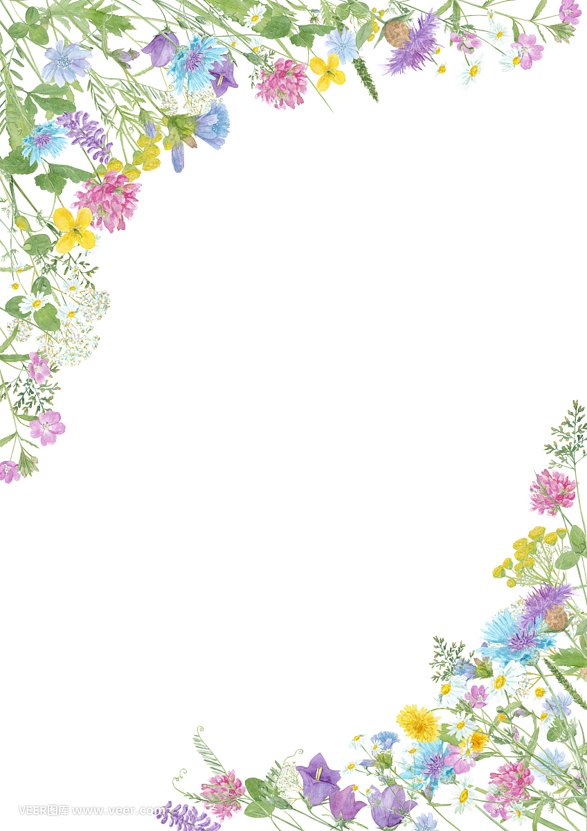 水彩手绘花卉夏季框架与复制空间和野生草地花孤立在白色的背景