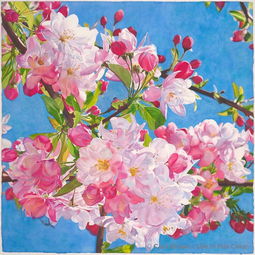 晶莹剔透的写实水彩花卉作品,隔着屏幕都能闻到香甜