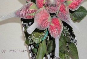 批发玫瑰花网套护套网丝网育花 玫瑰花网厂家 1公斤起发图片,批发玫瑰花网套护套网丝网育花 玫瑰花网厂家 1公斤起发高清图片 腾鸿网袋塑料制品厂,