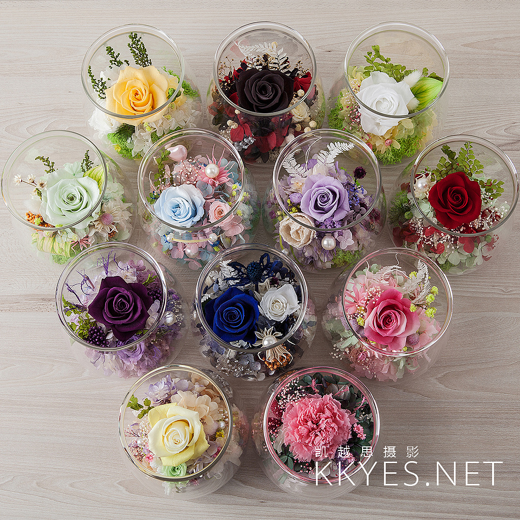 永生花 花卉 静物摄影 产品拍摄