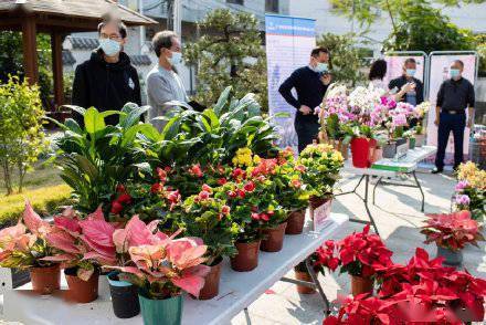 广州白云 云上花市 开市 200多款精品年宵花 云 上购