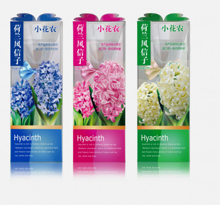 批发采购植物工艺品-小花农厂家直销 秋冬季专供产品 荷兰花卉种球 风信子精装系列.