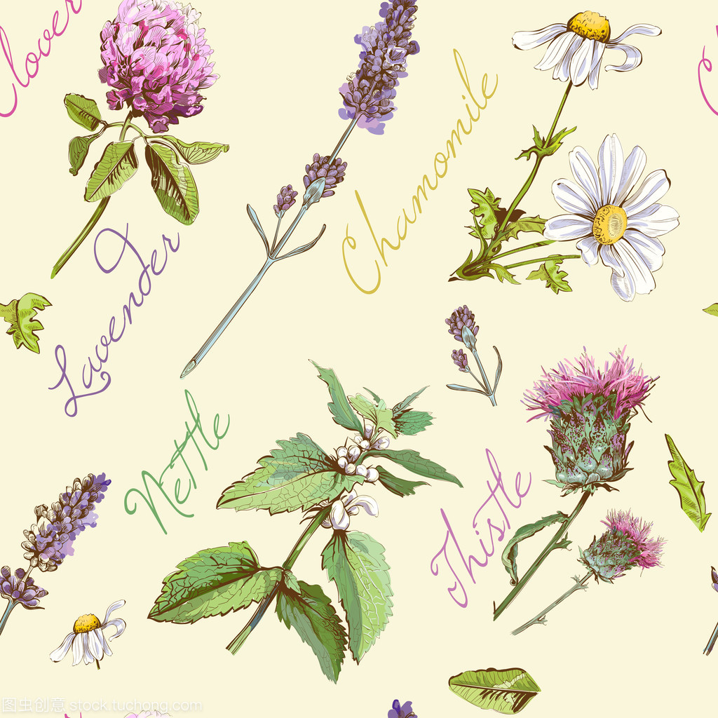 Herbal graphic frame
