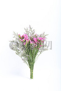 花产品图片_花产品素材_花产品高清图片_摄图网图片下载